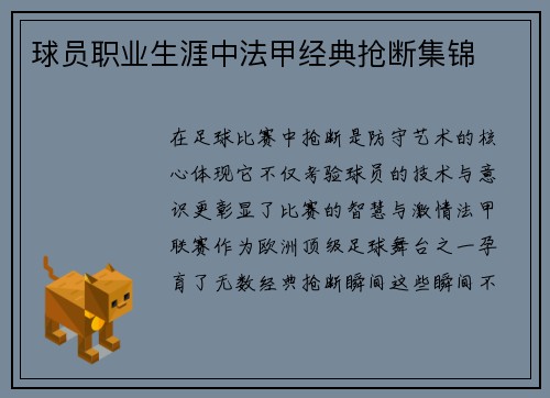 球员职业生涯中法甲经典抢断集锦